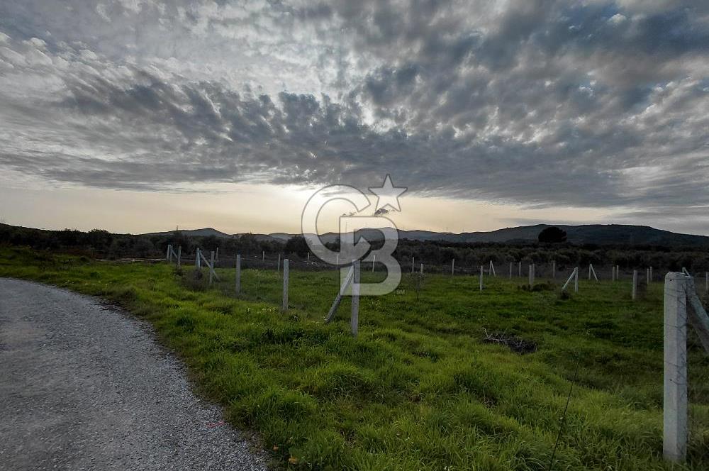 Dikili Demirtaş’ta Sahile Yakın, Özel Konumlu, Kaçırılmayacak Parsel