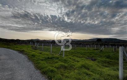 Dikili Demirtaş’ta Sahile Yakın, Özel Konumlu, Kaçırılmayacak Parsel