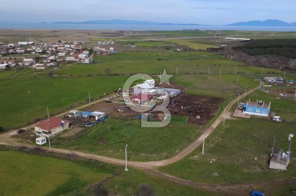 Biga Güvemalan İmar sınırında Satılık Tarla