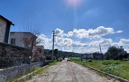 ALİAĞA AŞAĞIŞAKRAN DENİZE YÜRÜME MESAFESİNDE VİLLA İMARLI ARSA 