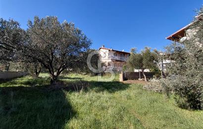 ALİAĞA AŞAĞIŞAKRAN DENİZE YÜRÜME MESAFESİNDE VİLLA İMARLI ARSA 