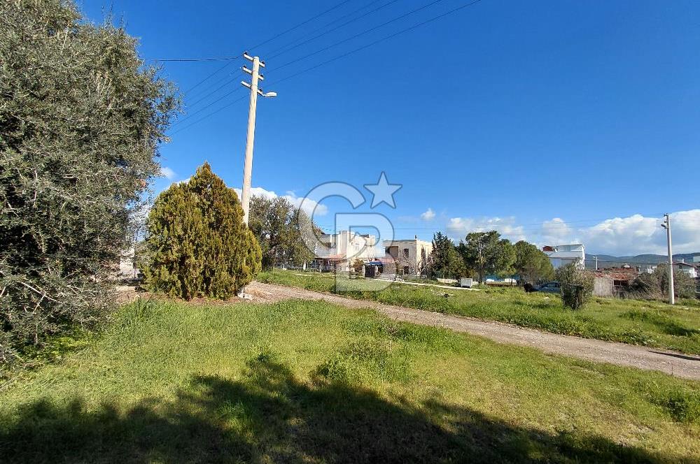 ALİAĞA AŞAĞIŞAKRAN DENİZE YÜRÜME MESAFESİNDE VİLLA İMARLI ARSA 