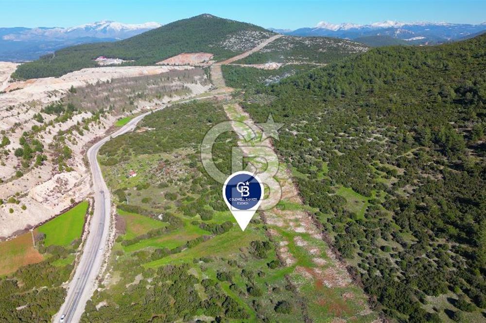 Muğla menteşe Kafaca Mahallesi’nde satılık 24.000 metrekare arazi