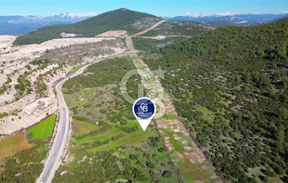 Muğla menteşe Kafaca Mahallesi’nde satılık 24.000 metrekare arazi