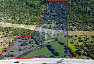 Muğla menteşe Kafaca Mahallesi’nde satılık 24.000 metrekare arazi - 4 - 336490