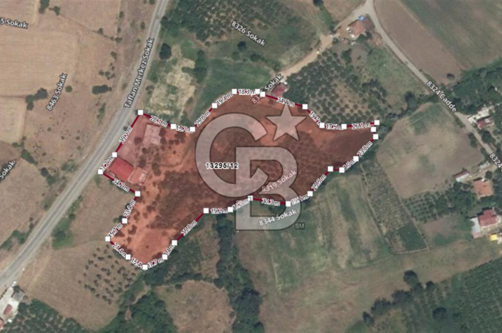 Taflan'da İmar Planı Yapılmış 5074 m2 Yatırım Fırsatı