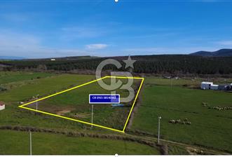 Biga Güvemalan İmar sınırında Satılık Tarla - 1 - 336479