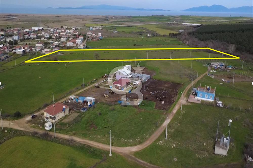 Biga Güvemalan İmar sınırında Satılık Tarla