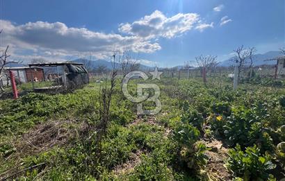 Kemalpaşa Çataltepe Mahallesi Satılık Bahçe