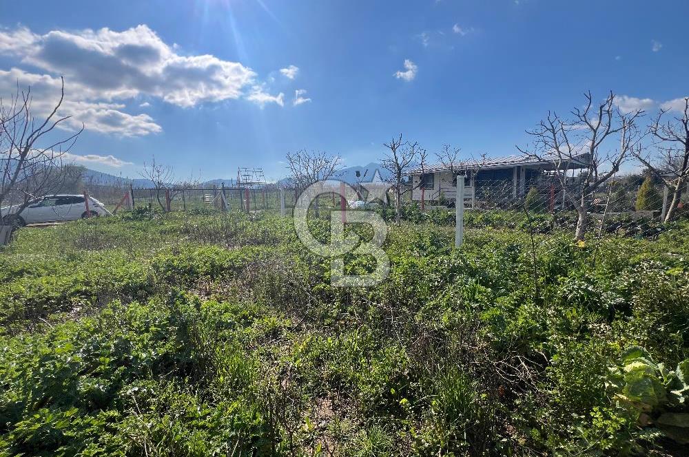  Kemalpaşa Çataltepe Mahallesi Satılık Bahçe