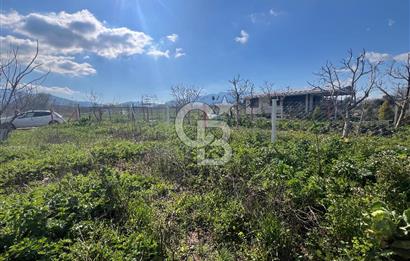  Kemalpaşa Çataltepe Mahallesi Satılık Bahçe