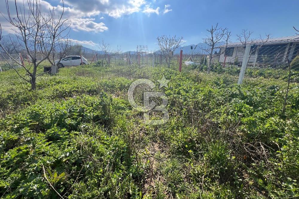  Kemalpaşa Çataltepe Mahallesi Satılık Bahçe