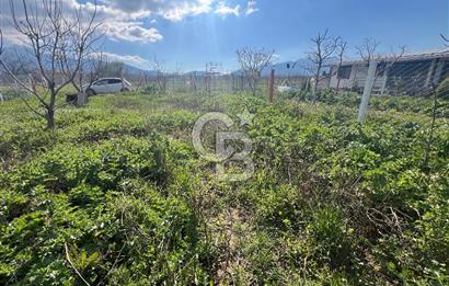  Kemalpaşa Çataltepe Mahallesi Satılık Bahçe