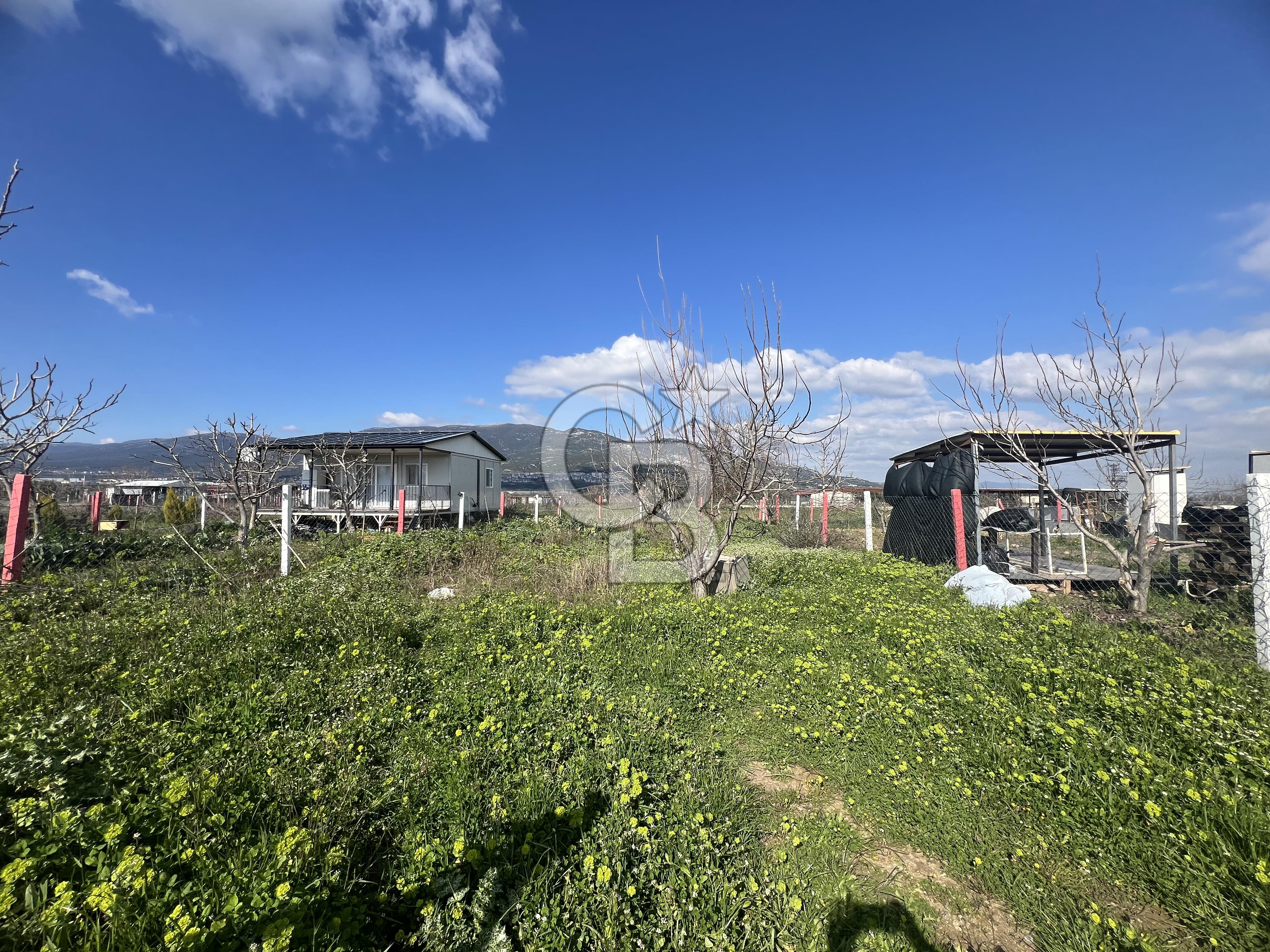  Kemalpaşa Çataltepe Mahallesi Satılık Bahçe