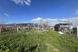  Kemalpaşa Çataltepe Mahallesi Satılık Bahçe - 1 - 336481