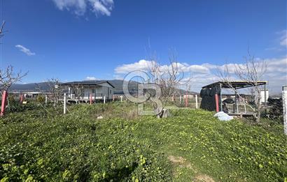  Kemalpaşa Çataltepe Mahallesi Satılık Bahçe