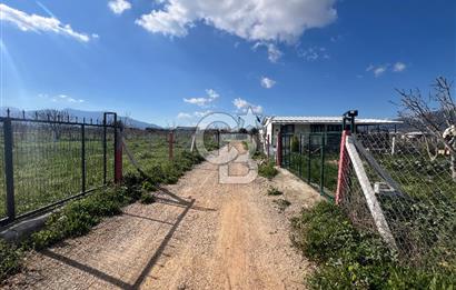  Kemalpaşa Çataltepe Mahallesi Satılık Bahçe