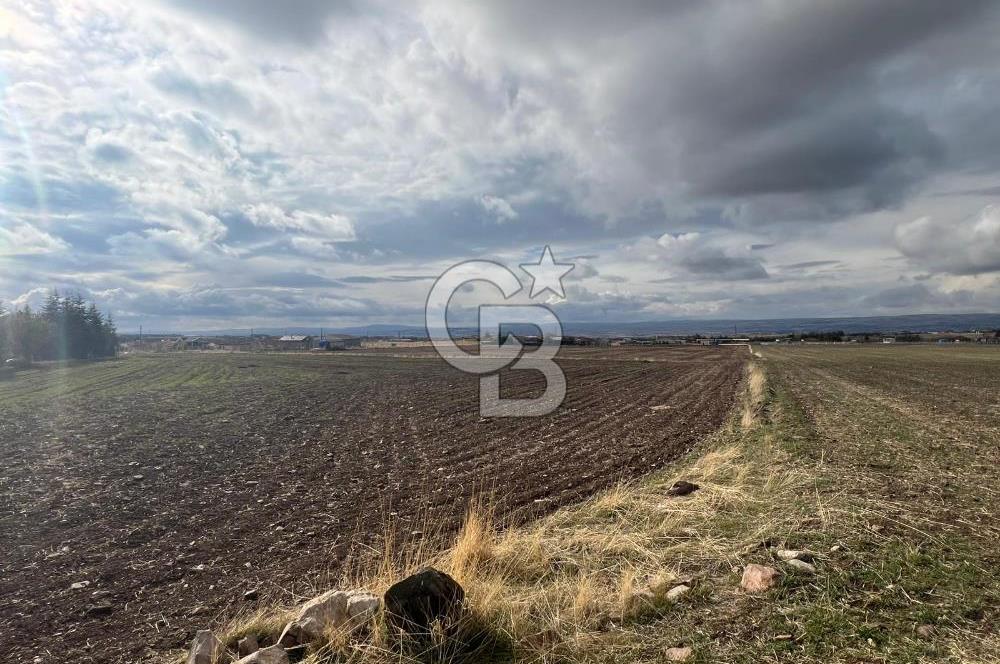 CB VİZYON GÖKHAN KORAL'DAN GERDER DE YATIRIM FIRSATI 2037 M2