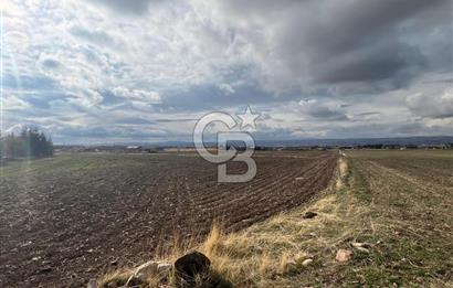 CB VİZYON GÖKHAN KORAL'DAN GERDER DE YATIRIM FIRSATI 2037 M2