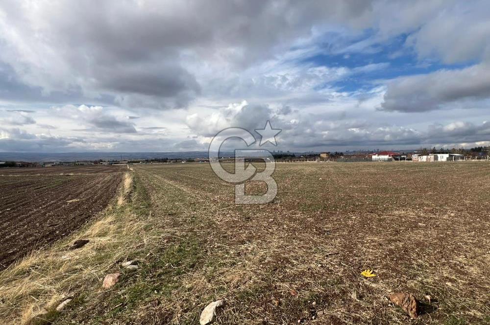 CB VİZYON GÖKHAN KORAL'DAN GERDER DE YATIRIM FIRSATI 2037 M2