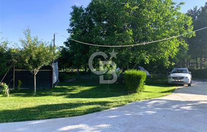 🌿 Ankara Çubuk Taşpınar’da 10.061 m² 2 Tapulu Satılık Çiftlik – Mesken, Bakıcı Evi ve Kargir Samanlık