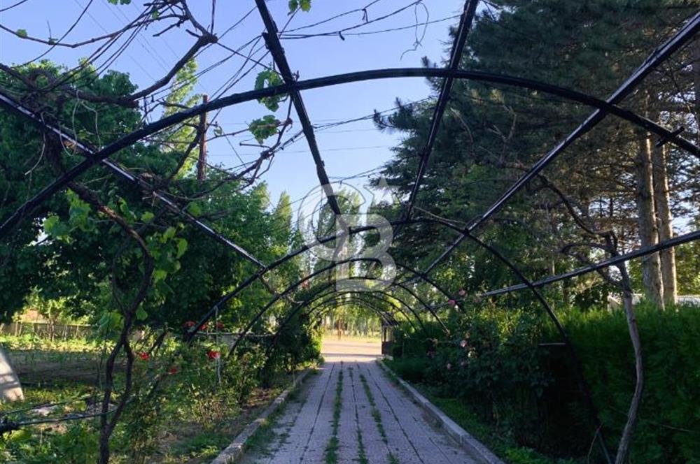 🌿 Ankara Çubuk Taşpınar’da 10.061 m² 2 Tapulu Satılık Çiftlik – Mesken, Bakıcı Evi ve Kargir Samanlık