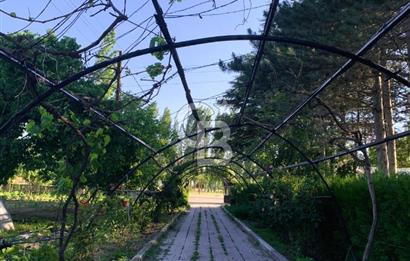 🌿 Ankara Çubuk Taşpınar’da 10.061 m² 2 Tapulu Satılık Çiftlik – Mesken, Bakıcı Evi ve Kargir Samanlık