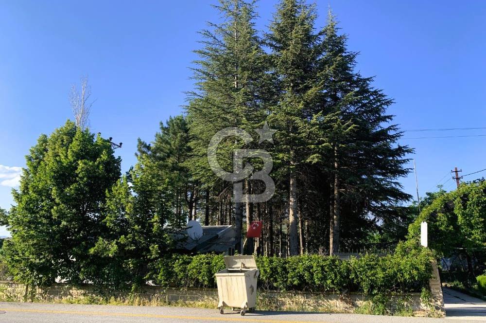 🌿 Ankara Çubuk Taşpınar’da 10.061 m² 2 Tapulu Satılık Çiftlik – Mesken, Bakıcı Evi ve Kargir Samanlık