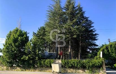 🌿 Ankara Çubuk Taşpınar’da 10.061 m² 2 Tapulu Satılık Çiftlik – Mesken, Bakıcı Evi ve Kargir Samanlık