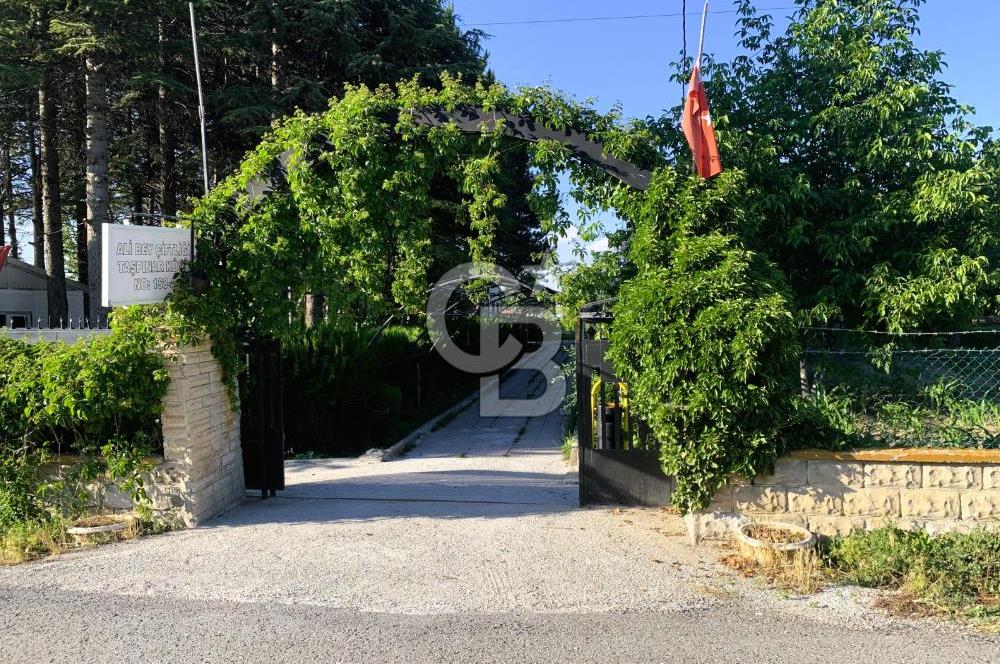 🌿 Ankara Çubuk Taşpınar’da 10.061 m² 2 Tapulu Satılık Çiftlik – Mesken, Bakıcı Evi ve Kargir Samanlık