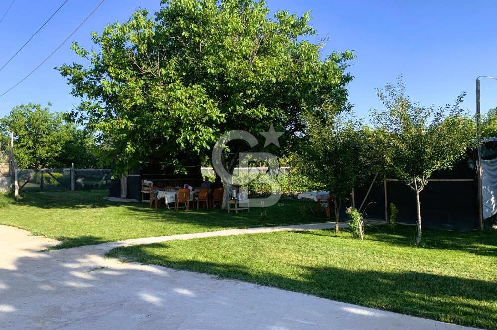 🌿 Ankara Çubuk Taşpınar’da 10.061 m² 2 Tapulu Satılık Çiftlik – Mesken, Bakıcı Evi ve Kargir Samanlık