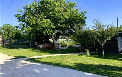 🌿 Ankara Çubuk Taşpınar’da 10.061 m² 2 Tapulu Satılık Çiftlik – Mesken, Bakıcı Evi ve Kargir Samanlık