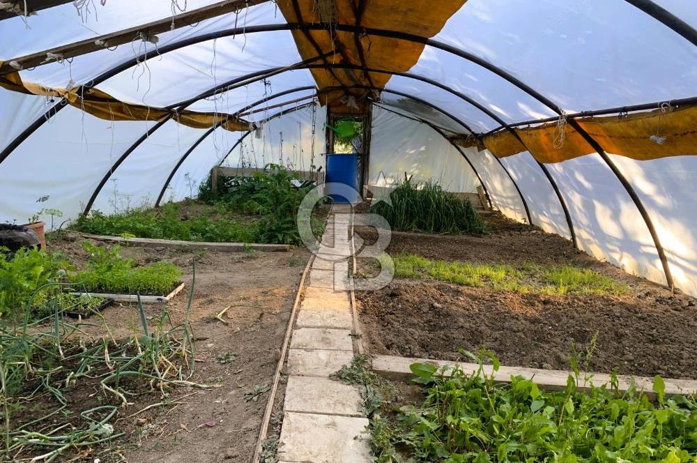 🌿 Ankara Çubuk Taşpınar’da 10.061 m² 2 Tapulu Satılık Çiftlik – Mesken, Bakıcı Evi ve Kargir Samanlık