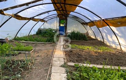 🌿 Ankara Çubuk Taşpınar’da 10.061 m² 2 Tapulu Satılık Çiftlik – Mesken, Bakıcı Evi ve Kargir Samanlık