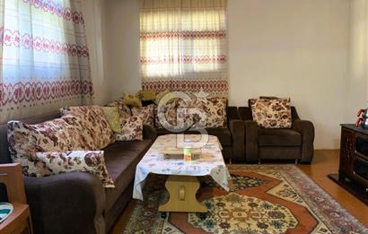 🌿 Ankara Çubuk Taşpınar’da 10.061 m² 2 Tapulu Satılık Çiftlik – Mesken, Bakıcı Evi ve Kargir Samanlık