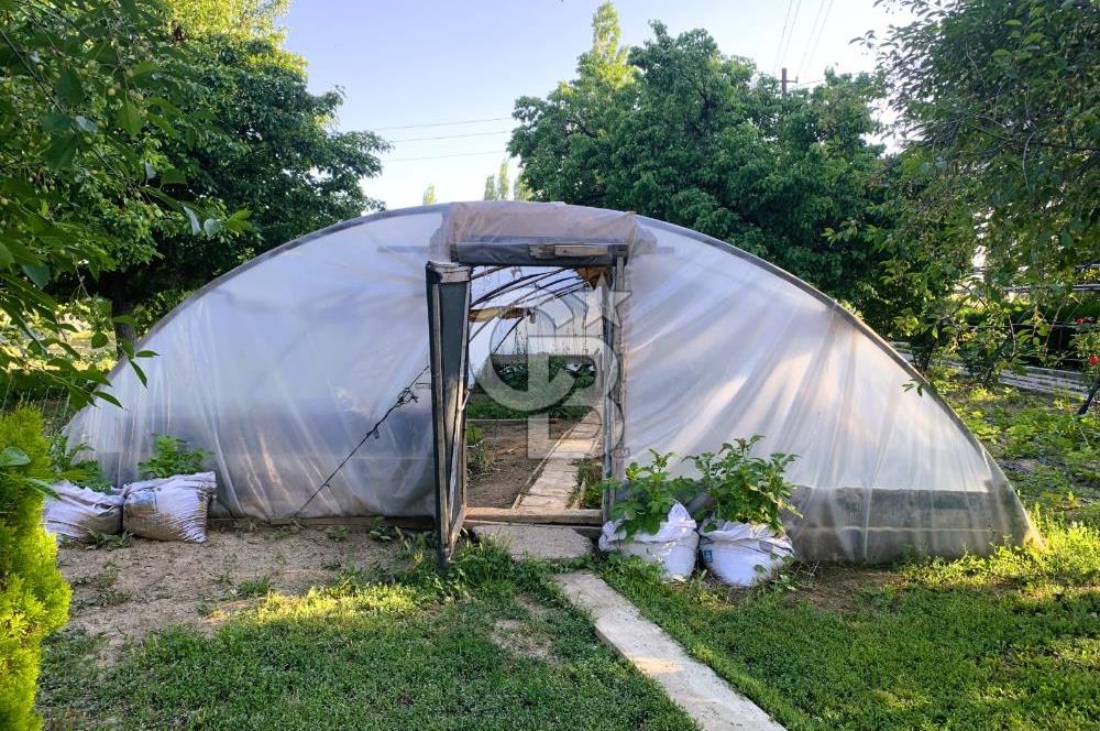 🌿 Ankara Çubuk Taşpınar’da 10.061 m² 2 Tapulu Satılık Çiftlik – Mesken, Bakıcı Evi ve Kargir Samanlık