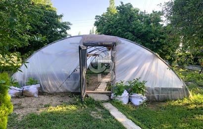 🌿 Ankara Çubuk Taşpınar’da 10.061 m² 2 Tapulu Satılık Çiftlik – Mesken, Bakıcı Evi ve Kargir Samanlık