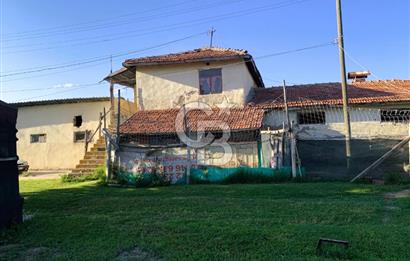 🌿 Ankara Çubuk Taşpınar’da 10.061 m² 2 Tapulu Satılık Çiftlik – Mesken, Bakıcı Evi ve Kargir Samanlık