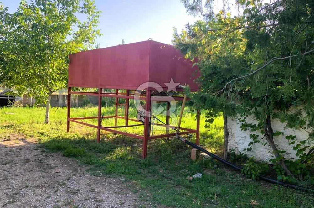 🌿 Ankara Çubuk Taşpınar’da 10.061 m² 2 Tapulu Satılık Çiftlik – Mesken, Bakıcı Evi ve Kargir Samanlık