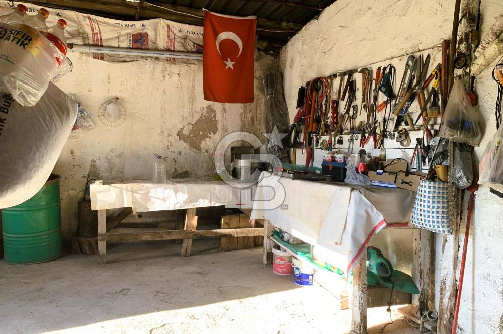 🌿 Ankara Çubuk Taşpınar’da 10.061 m² 2 Tapulu Satılık Çiftlik – Mesken, Bakıcı Evi ve Kargir Samanlık