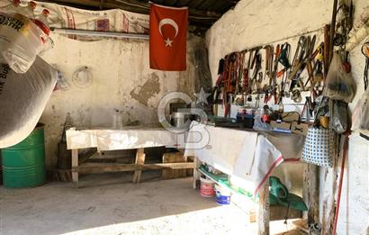 🌿 Ankara Çubuk Taşpınar’da 10.061 m² 2 Tapulu Satılık Çiftlik – Mesken, Bakıcı Evi ve Kargir Samanlık