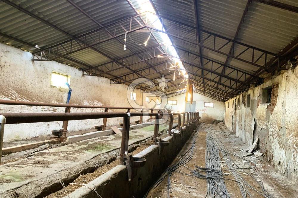 🌿 Ankara Çubuk Taşpınar’da 10.061 m² 2 Tapulu Satılık Çiftlik – Mesken, Bakıcı Evi ve Kargir Samanlık