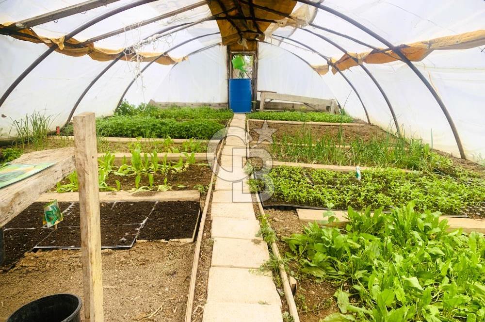 🌿 Ankara Çubuk Taşpınar’da 10.061 m² 2 Tapulu Satılık Çiftlik – Mesken, Bakıcı Evi ve Kargir Samanlık