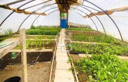 🌿 Ankara Çubuk Taşpınar’da 10.061 m² 2 Tapulu Satılık Çiftlik – Mesken, Bakıcı Evi ve Kargir Samanlık