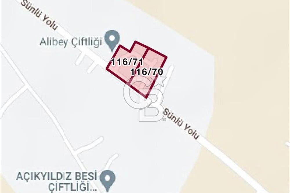 🌿 Ankara Çubuk Taşpınar’da 10.061 m² 2 Tapulu Satılık Çiftlik – Mesken, Bakıcı Evi ve Kargir Samanlık