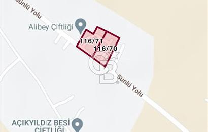 🌿 Ankara Çubuk Taşpınar’da 10.061 m² 2 Tapulu Satılık Çiftlik – Mesken, Bakıcı Evi ve Kargir Samanlık