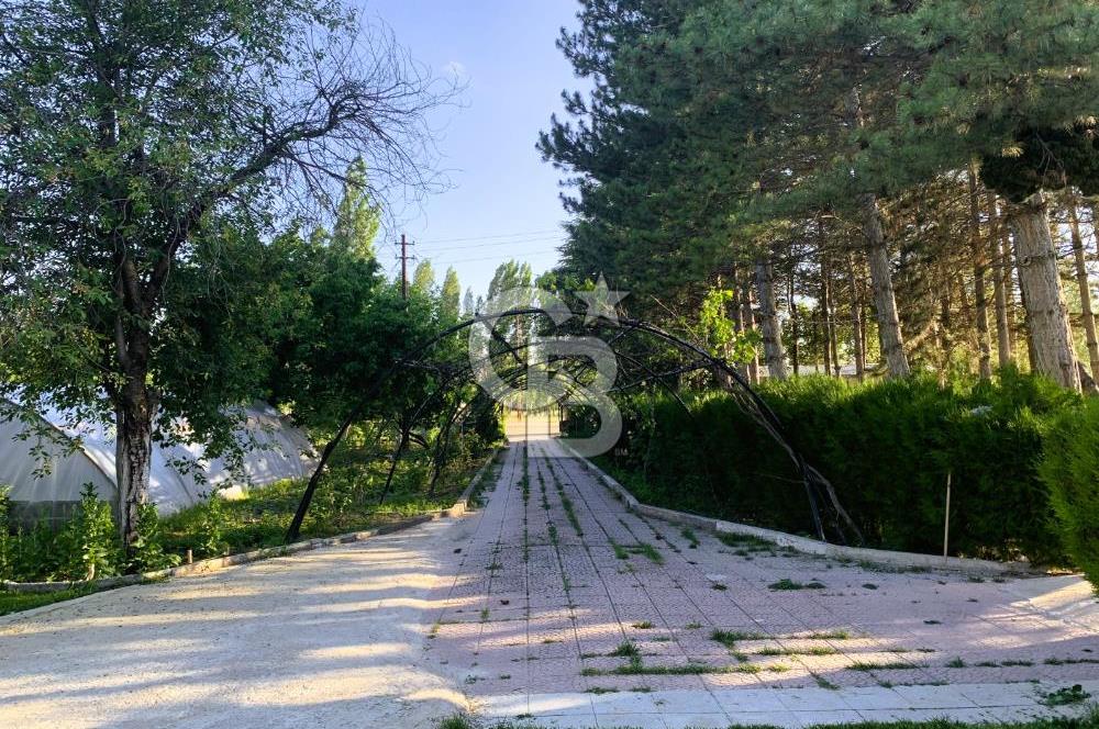 🌿 Ankara Çubuk Taşpınar’da 10.061 m² 2 Tapulu Satılık Çiftlik – Mesken, Bakıcı Evi ve Kargir Samanlık