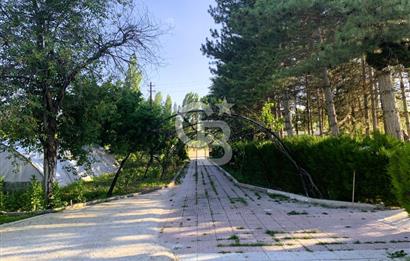 🌿 Ankara Çubuk Taşpınar’da 10.061 m² 2 Tapulu Satılık Çiftlik – Mesken, Bakıcı Evi ve Kargir Samanlık