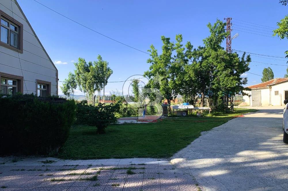 🌿 Ankara Çubuk Taşpınar’da 10.061 m² 2 Tapulu Satılık Çiftlik – Mesken, Bakıcı Evi ve Kargir Samanlık