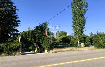 🌿 Ankara Çubuk Taşpınar’da 10.061 m² 2 Tapulu Satılık Çiftlik – Mesken, Bakıcı Evi ve Kargir Samanlık